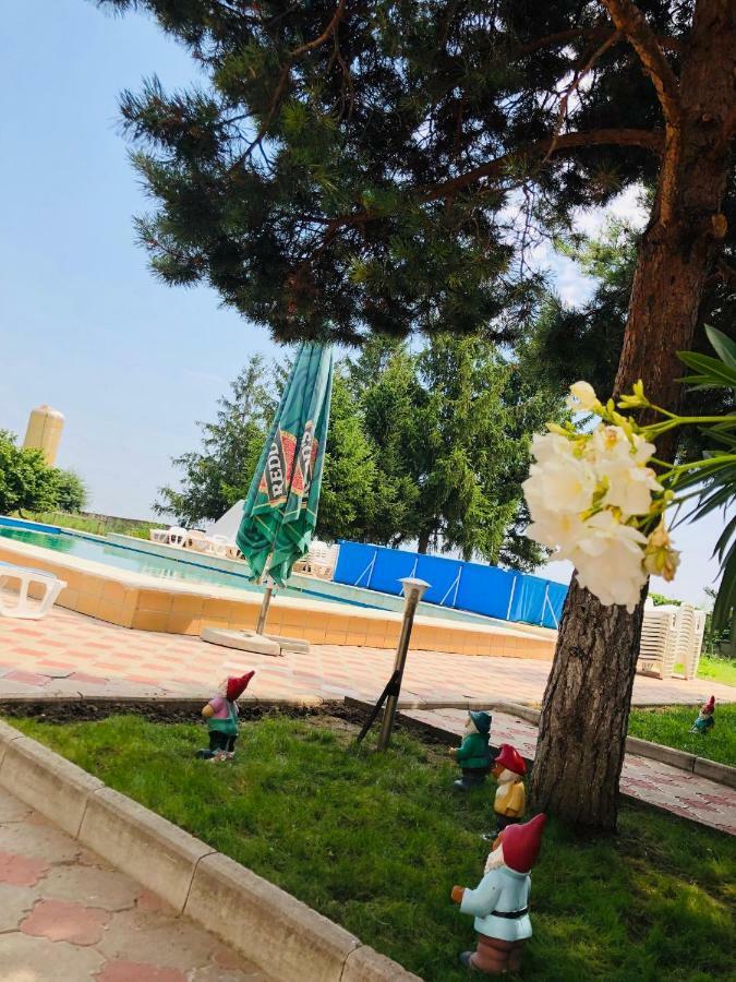 Pensiunea Paradis Vrancean Cotesti  Екстериор снимка